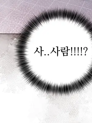 거리는 무법천지
